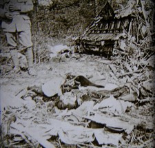 Avion pilote boche d'occasion Avion pilote boche d'occasion  Tonneins