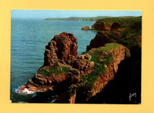 Cap frehel rocher d'occasion  Nogent