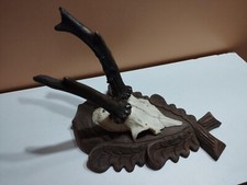 Trophee chevreuil brocard d'occasion  France