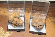 Pair sericho pallasite d'occasion  Expédié en Belgium