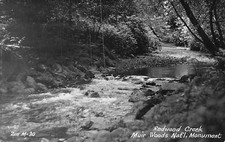 Postcard rppc redwood for sale  Tucson