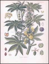 1887 antique print for sale  ASHFORD
