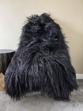 Large genuine icelandic for sale  WANTAGE