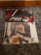 Adesivi moto bmw usato  Pisa