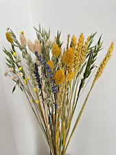 Dried flower spring for sale  WREXHAM
