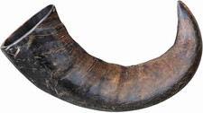 Corno masticare per usato  Roma