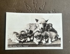 Antique 1910s 20s for sale  San Francisco