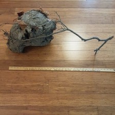 Bald face hornets for sale  Temperance