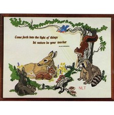 LET NATURE Be Your TEACHER Kit de Bordado Crewel Vintage Floresta Animais da Floresta comprar usado  Enviando para Brazil