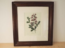 Vintage floral book for sale  UK
