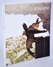 Francesco somaini opere usato  Roma