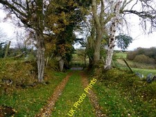 Photo 6x4 short for sale  FAVERSHAM