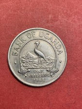 Schillig uganda 1968 gebraucht kaufen Schillig uganda 1968 gebraucht kaufen  Potsdam