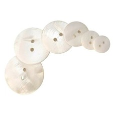 Mother pearl shell for sale  CHESTERFIELD