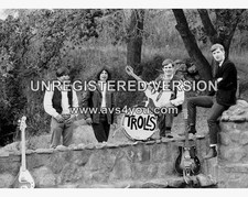 The trolls photograph usato  Spedire a Italy