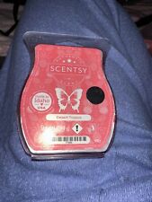 Scentsy desert tropics for sale  AYR