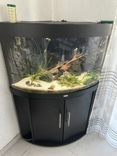 Juwel aquarium trigon gebraucht kaufen  Kriftel