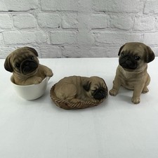 Set realistic lifelike for sale  Naples