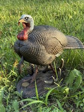 Nwtf signed numbered for sale  Ingleside
