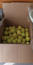 Kinder tennisbälle stück gebraucht kaufen  Bad Oeynhausen
