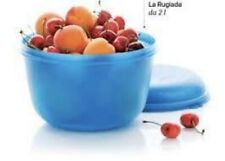 Tupperware ciotola rugiada usato  Sarno