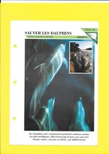 Sheet no. saving d'occasion  Expédié en Belgium