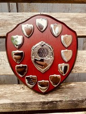 Unengraved trophy shield for sale  UK