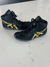 2017 asics aggressor for sale  Ames