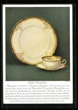 Selb rosenthal porzellanfabrik gebraucht kaufen  Berlin