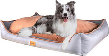 Cuccia cane interno usato  Italia