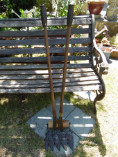 Vintage astor grass for sale  SOLIHULL