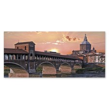 Lupia quadro tela usato  San Cassiano
