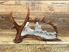 Alaska moose faux for sale  Boynton Beach