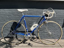 Rosa super prestige for sale  Providence