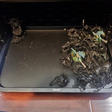 Seraphon age sigmar for sale  Richland