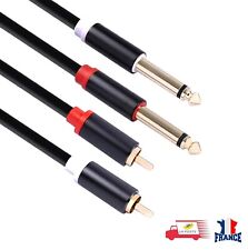 Câble audio cinch d'occasion  Orleans-