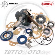 Kit revisione completo usato  Serra d'Aiello