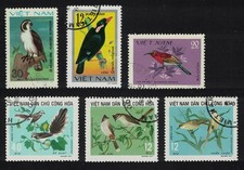 Vietnam birds small for sale  UK