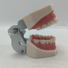 Modelo de dentes Typodont dentais com dentes removíveis para tipo Kilgore NISSIN 200/500, usado comprar usado  Enviando para Brazil