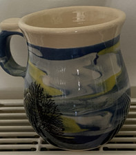 Boscastle pottery blue for sale  BEDFORD