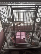 parrot cage for sale  SWINDON