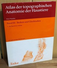 Atlas topographischen anatomie gebraucht kaufen  Landsberg