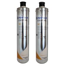 Filtro everpure per usato  Canicatti