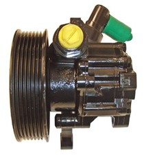 Hydraulikpumpe lenkung lizarte gebraucht kaufen  Oberlungwitz
