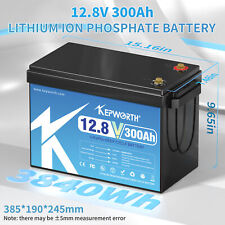 12v 300ah deep for sale  USA