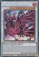 Dragon rose rougeâtre usato  Spedire a Italy