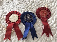horse show rosettes for sale horse show rosettes for sale SURBITON