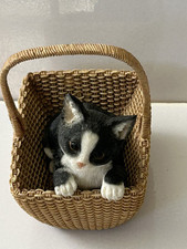 Leonardo collection cat for sale  NORTHWOOD