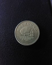 2013 gibraltar pound for sale  HAVERHILL
