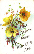 Manette washington postcard d'occasion  Expédié en Belgium